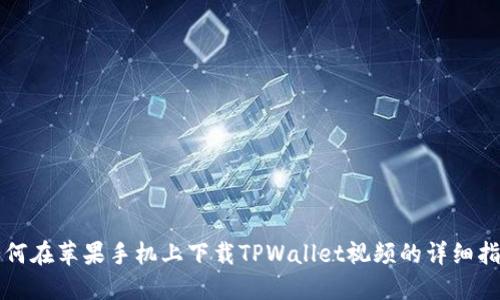 如何在苹果手机上下载TPWallet视频的详细指南