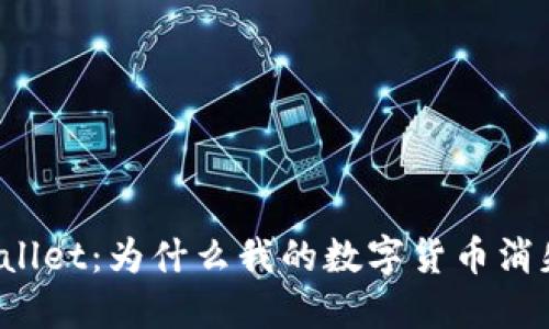 TPWallet：为什么我的数字货币消失了？