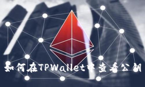 如何在TPWallet中查看公钥