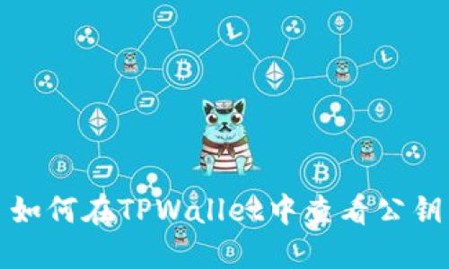 如何在TPWallet中查看公钥