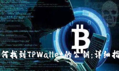 如何找到TPWallet的公钥：详细指南