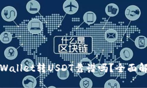 TPWallet转USDT靠谱吗？全面解析