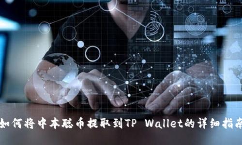 如何将中本聪币提取到TP Wallet的详细指南