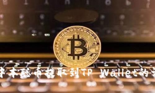 如何将中本聪币提取到TP Wallet的详细指南