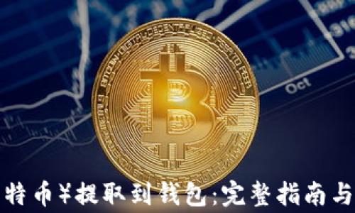 
如何将LTC（莱特币）提取到钱包：完整指南与常见问题解答