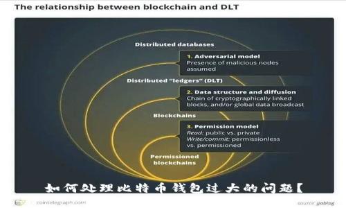 如何处理比特币钱包过大的问题？