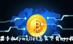   苹果手机tpwallet怎么下载app指南