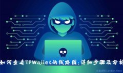 如何查看TPWallet的线路图：详细步骤及分析