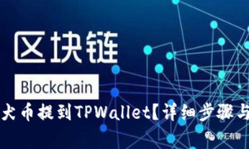 怎么把柴犬币提到TPWallet？详细步骤与注意事项