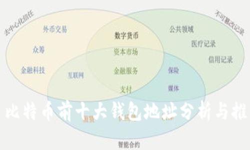 : 比特币前十大钱包地址分析与推荐