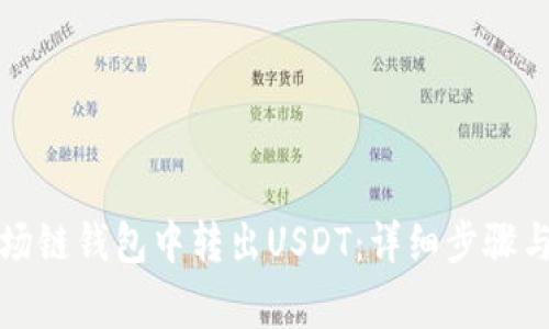 如何在波场链钱包中转出USDT：详细步骤与注意事项