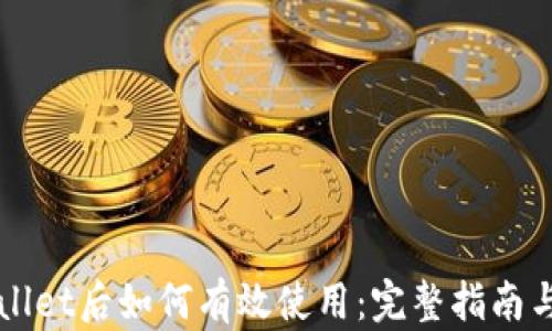 
下载TPWallet后如何有效使用：完整指南与实用技巧