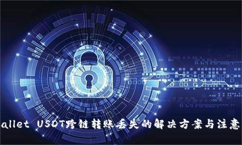 TPWallet USDT跨链转账丢失的解决方案与注意事项