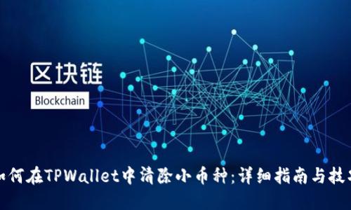 如何在TPWallet中清除小币种：详细指南与技巧