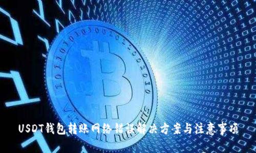 USDT钱包转账网络错误解决方案与注意事项