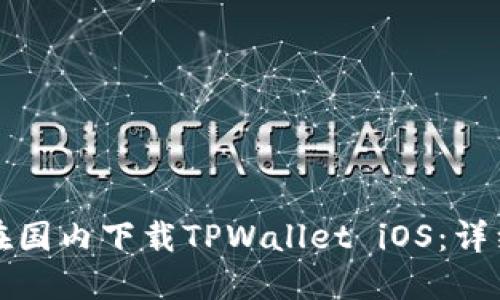 如何在国内下载TPWallet iOS：详细指南