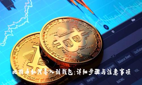 比特币如何导入到钱包：详细步骤与注意事项