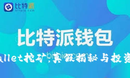 TPWallet挖矿：真假揭秘与投资指南