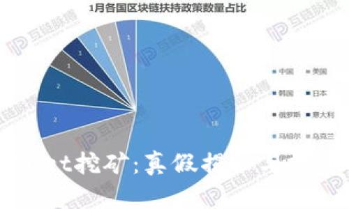 TPWallet挖矿：真假揭秘与投资指南