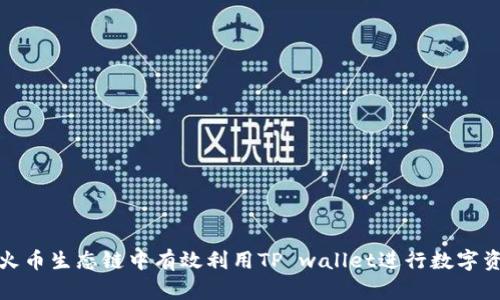如何在火币生态链中有效利用TP wallet进行数字资产管理
