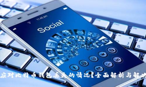如何应对比特币钱包丢失的情况？全面解析与解决方案