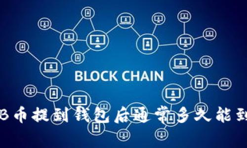 SHIB币提到钱包后通常多久能到账？