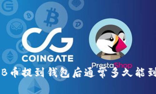 SHIB币提到钱包后通常多久能到账？