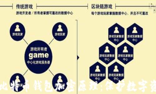 
深入解读比特币钱包加密原理：保护数字资产的基础
