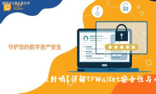  TPWallet里的币会被封吗？详解TPWallet安全性与币封风险