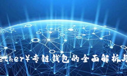 泰达币（Tether）专链钱包的全面解析与使用指南