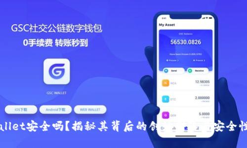 TPWallet安全吗？揭秘其背后的创始团队与安全性分析