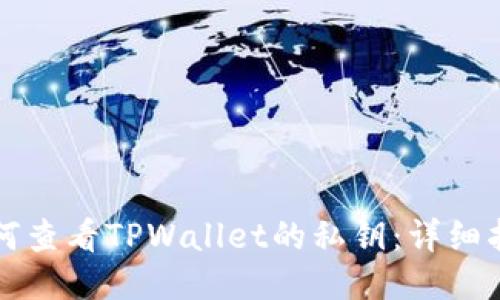 如何查看TPWallet的私钥：详细指南