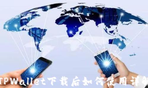 
TPWallet下载后如何使用详解