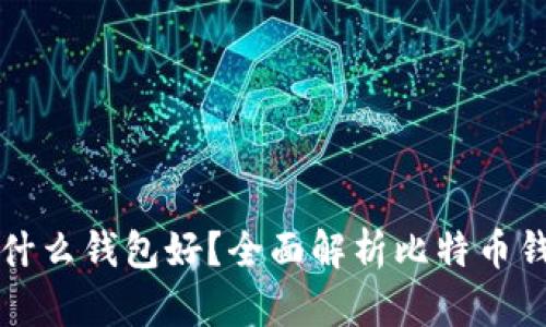 买比特币用什么钱包好？全面解析比特币钱包选择指南