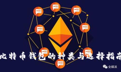 比特币钱包的种类与选择指南