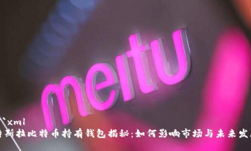```xml
特斯拉比特币持有钱包揭秘：如何影响市场与未来发展