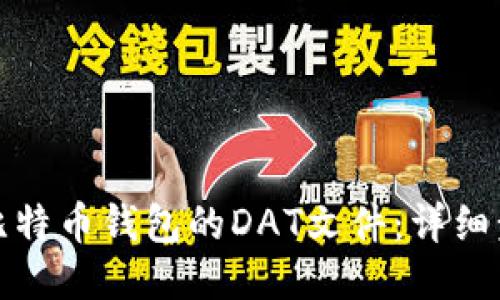 如何打开比特币钱包的DAT文件：详细步骤与技巧