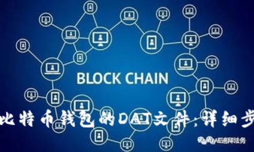 如何打开比特币钱包的DAT文件：详细步骤与技巧