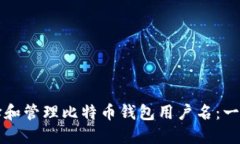 如何选择和管理比特币钱