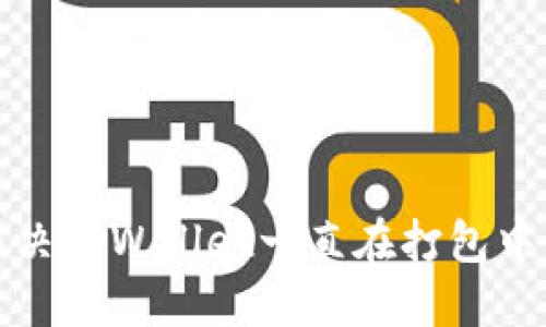 如何解决TPWallet一直在打包中的问题