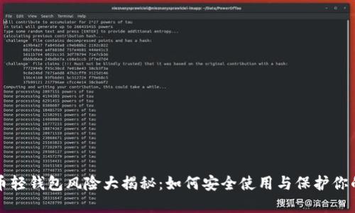比特币轻钱包风险大揭秘：如何安全使用与保护你的资产
