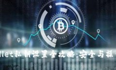 TPWallet私钥设置全攻略：安