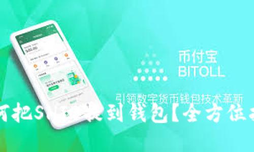 如何把SHIB提到钱包？全方位指南