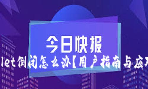 tpwallet倒闭怎么办？用户指南与应对策略