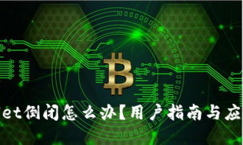 tpwallet倒闭怎么办？用户指南与应对策略