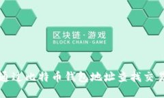 如何通过比特币钱包地址查找交易记录