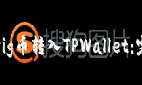 如何将Pig币转入TPWallet：完整教程