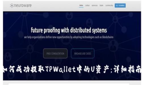 如何成功提取TPWallet中的U资产：详细指南