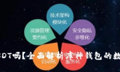 库神钱包能存USDT吗？全面解析库神钱包的数字资