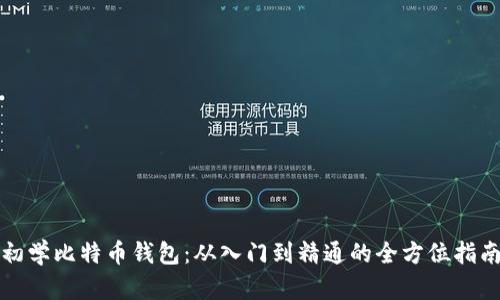 初学比特币钱包：从入门到精通的全方位指南